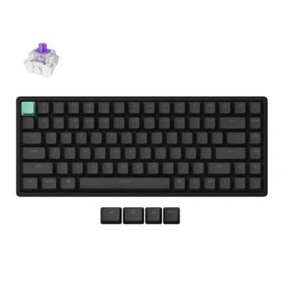 Afbeelding van Keychron Wireless Keyboard K2 HE RGB Nebula Magnetic Switch (black) (K2H J1), Muis + Toetsenbord Accessoires, Zwart