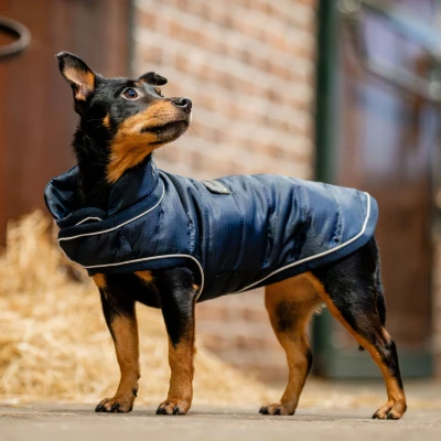 Image de Horseware Couverture pour Chien Signature Marin M