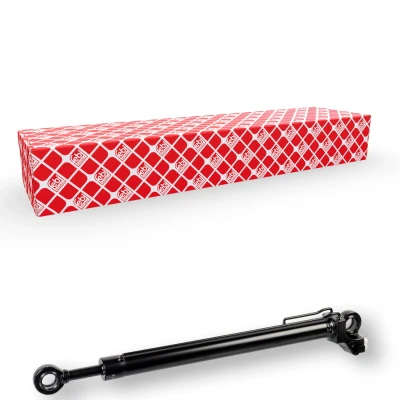 Afbeelding van FEBI BILSTEIN 175314 Kantelcilinder, cabine