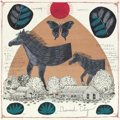 Afbeelding van Will Johnson Diamond City (LP) (Coloured Vinyl)