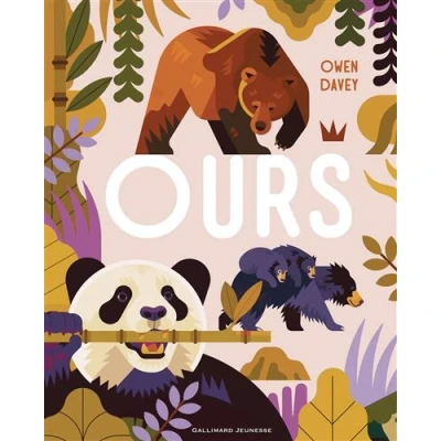 Image de Ours