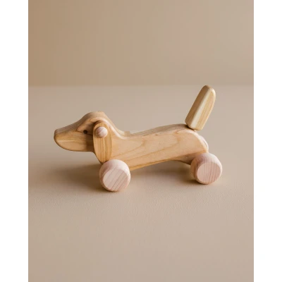 Afbeelding van Bajo Teckel puppy