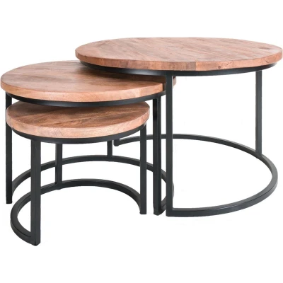 Afbeelding van Home67 Salontafel Set van 3 Industriële Salontafelset Erjan Mangohout