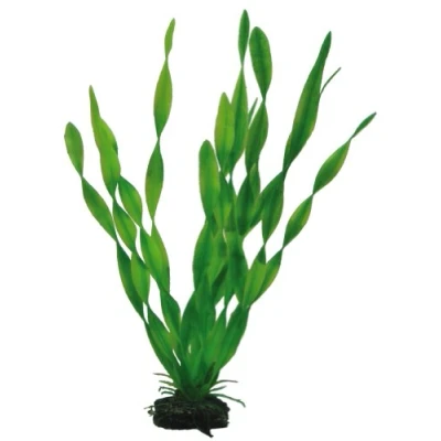 Afbeelding van Hobby Plant Vallisneria 34CM