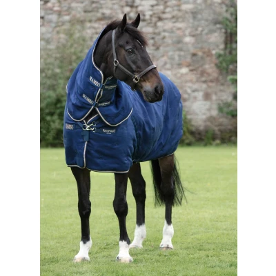 Image de Rambo Deluxe Stable Plus 200g Champagne/Marine 125/175