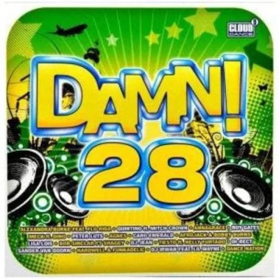 Afbeelding van Various Artists Damn! 28