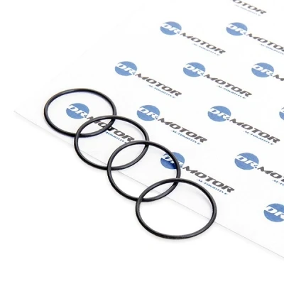 Afbeelding van Pakking, verstuiverhouder Dr.Motor Automotive DRM0364S