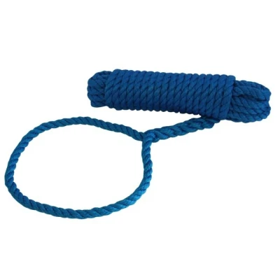 Afbeelding van Talamex Superlene Landvast Ø 10 mm meter lang Blauw