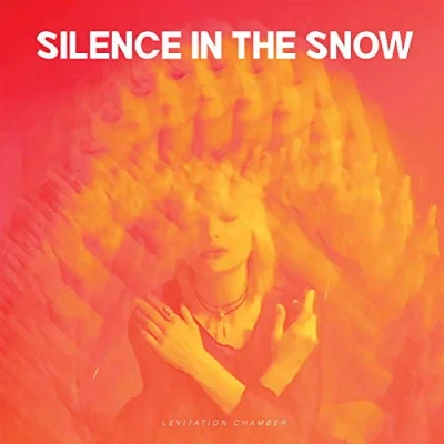 Afbeelding van Silence In the Snow Levitation Chamber (LP)