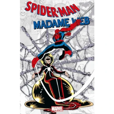 Afbeelding van Spider Man &amp; Madame Web