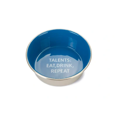 Afbeelding van Beeztees Eetbak Rvs Talents Hond Blauw Hondenvoerbak 20x20x6 cm