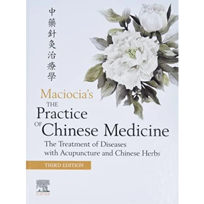 Afbeelding van The Practice of Chinese Medicine