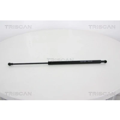 Afbeelding van Gasveer, kofferruimte TRISCAN 8710 28237