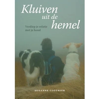 Afbeelding van Kluiven uit de hemel