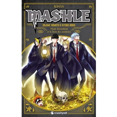 Afbeelding van Mashle roman