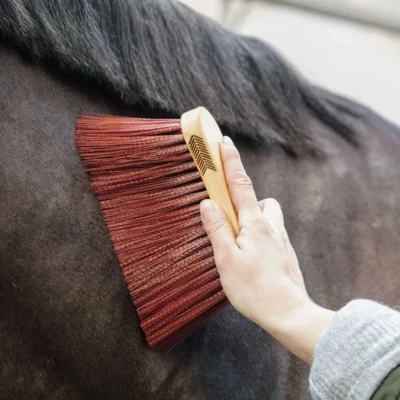 Afbeelding van Grooming Deluxe by Kentucky Borstel Middle Long Bruin