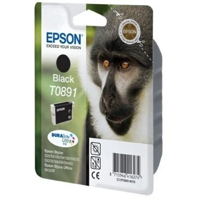 Image de Epson T0891 Cartouche d&#039;encre d&#039;origine 1 x noir 180 pages