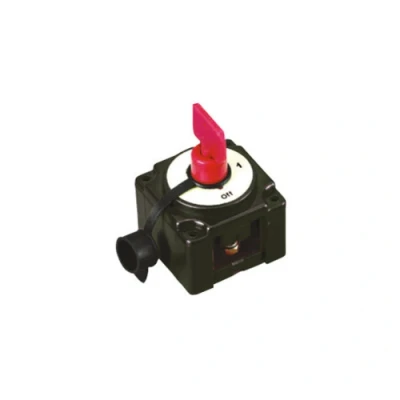 Afbeelding van Accuschakelaar 250amp
