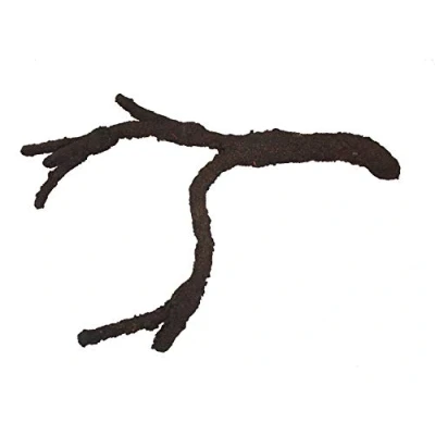 Afbeelding van Komodo Tropical Vine Branch large
