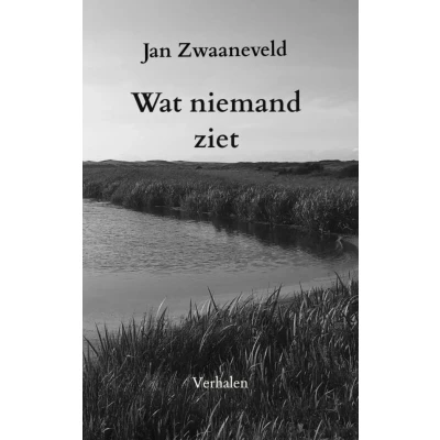 Afbeelding van Wat niemand ziet