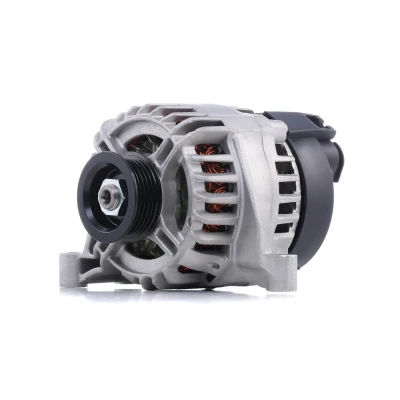 Afbeelding van Dynamo / Alternator ELSTOCK 28 4889