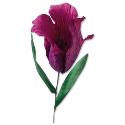 Afbeelding van Sizzix Thinlits Snijmal Set Fringed Tulip 5 stuks