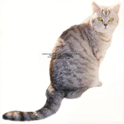 Afbeelding van Sarter Kit What I Am And I&#039;m Not (LP)