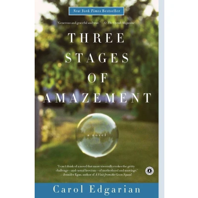 Afbeelding van Three Stages of Amazement