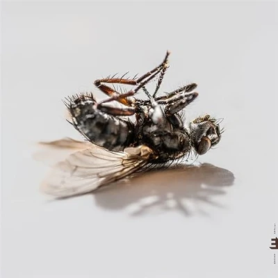 Afbeelding van Aki Rissanen, Verneri Pohjola &amp; Robert Ikiz Hyperreal (CD)