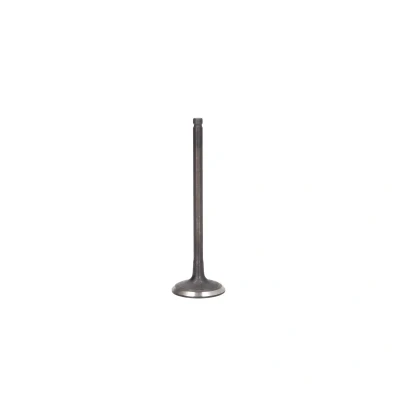 Afbeelding van FRECCIA R6439/SNT Inlaatklep 27,5 Klepsteel met nitraat verzien