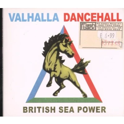 Afbeelding van British Sea Power Valhalla Dancehall (CD)