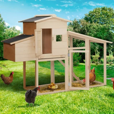 Image de Poulailler COMFORT avec pondoir en bois