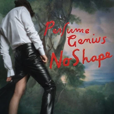 Afbeelding van Perfume Genius No Shape (2 LPs)