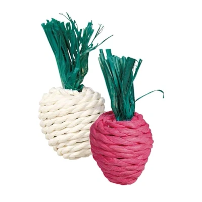 Afbeelding van Trixie Radijs En Rettich Met Stro 8 CM 2 ST