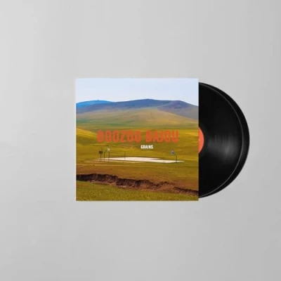 Afbeelding van Boozoo Bajou Grains (2 LPs)