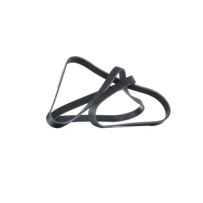 Afbeelding van Skf Poly V riem VKMV 6PK2220