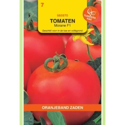 Afbeelding van Tomaten Morane F1