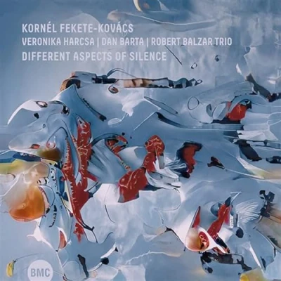 Afbeelding van Kornel Fekete Kovacs Different Aspects Of Silence (CD)