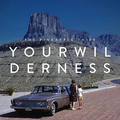 Afbeelding van Pineapple Thief Your Wilderness (LP)