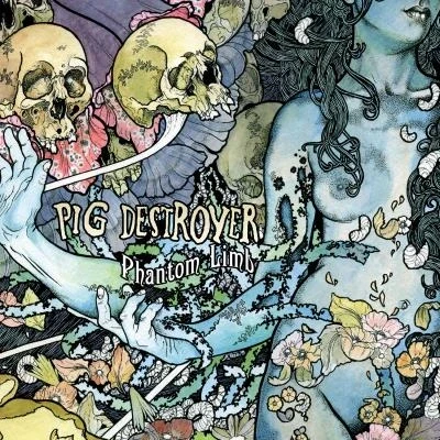 Afbeelding van Phantom Limb