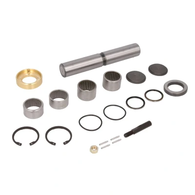 Afbeelding van Febi Bilstein Fuseepen rep.set 08802