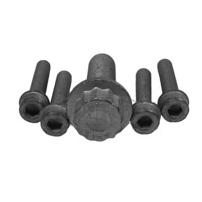 Afbeelding van CORTECO 80001263 Set schroeven voor riemschijf nokkenas