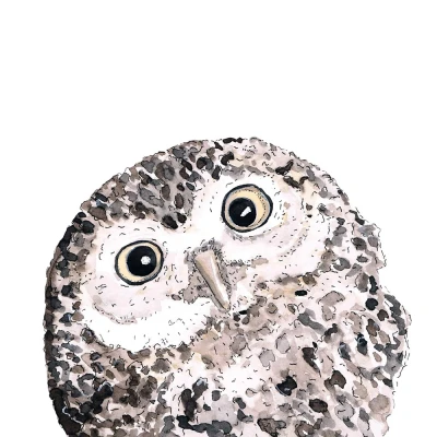 Afbeelding van Ppd Owl Napkin 33x33