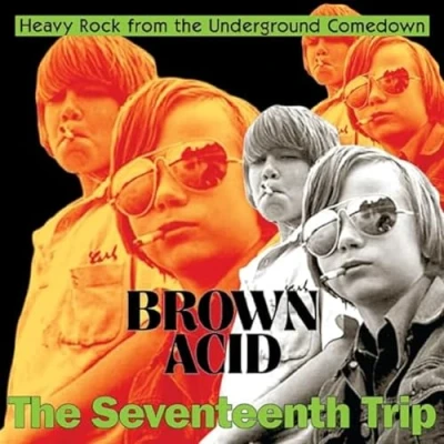 Afbeelding van Various Brown Acid: The 17th Trip (VINYL LP)