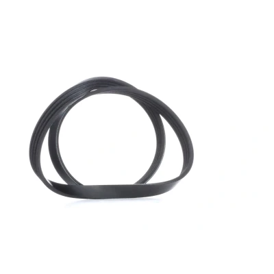 Afbeelding van Febi Bilstein Poly V riem 28789