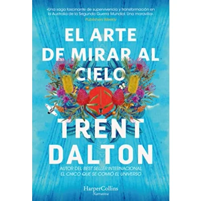 Afbeelding van El Arte de Mirar Al Cielo (All Our Shimmering Skies Spanish Edition)