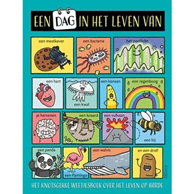Afbeelding van Een dag in het leven van