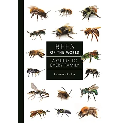 Afbeelding van A Guide to Every Family Bees of the World