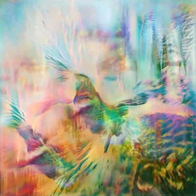 Afbeelding van Seahawks Time Enough For Love (LP)
