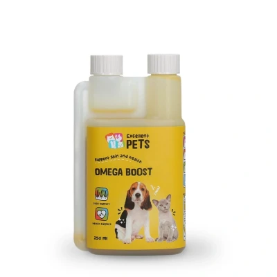 Image de Excellent Omega Boost 250ml